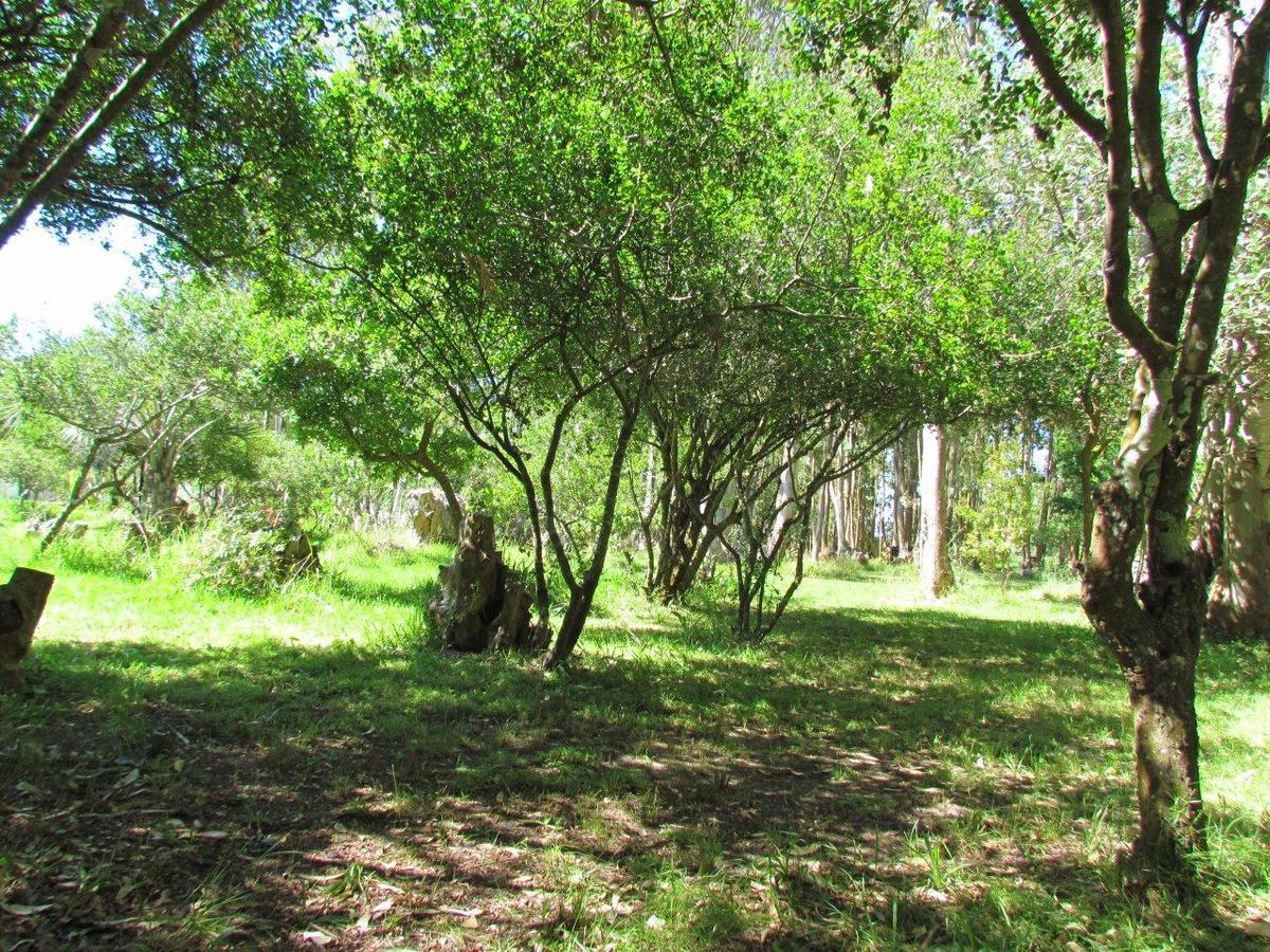 La Posta De La Laguna La Paloma Exteriör bild